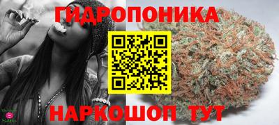 твердый Заводоуковск